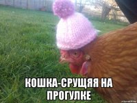  кошка-срущяя на прогулке