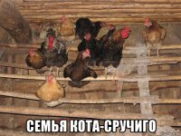  семья кота-сручиго
