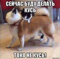 сейчас буду делать кусь токо не кусь!