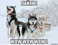 лайки ! wow wow wow !