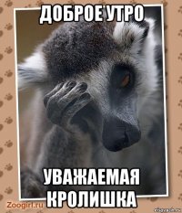 доброе утро уважаемая кролишка