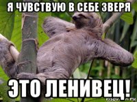 я чувствую в себе зверя это ленивец!
