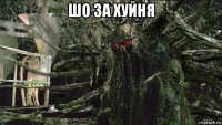 шо за хуйня 