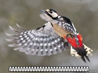  ааааааааааааааааааааааааааааа
