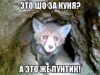 это шо за куня? а это же лунтик!