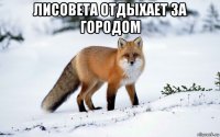 лисовета отдыхает за городом 