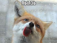 лылзь 