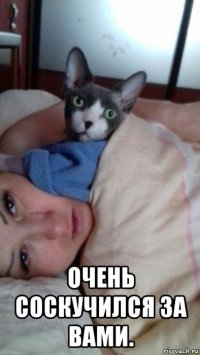  очень соскучился за вами.