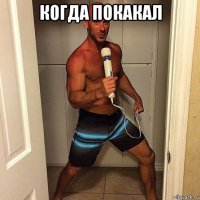 когда покакал 