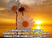  ты можешь казаться мудрым - планировать жизнь и встречи... но даже не знаешь утром, каким будет этот вечер....