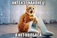 китекэт наконец! а нет колбаса