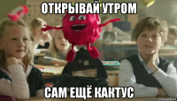 открывай утром сам ещё кактус