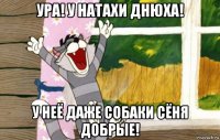 ура! у натахи днюха! у неё даже собаки сёня добрые!