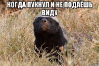 когда пукнул и не подаёшь виду 