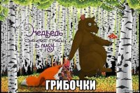  грибочки