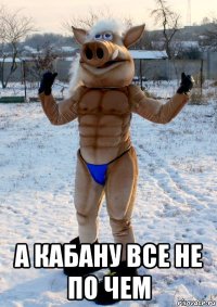 а кабану все не по чем