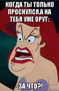 когда ты только проснулся,а на тебя уже орут: -за что?!