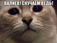 валиев! скучаем ведь! 