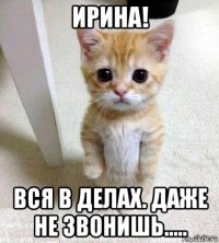 ирина! вся в делах. даже не звонишь.....