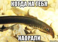 когда на тебя наорали