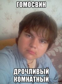 гомосвин дрочливый комнатный