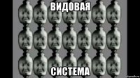 видовая система