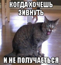 когда хочешь зивнуть и не получаеться