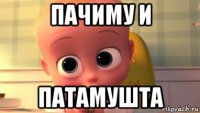 пачиму и патамушта