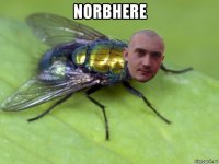 norbhere 