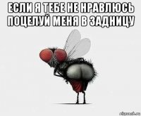 если я тебе не нравлюсь поцелуй меня в задницу 
