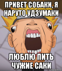 привет собаки, я наруто удзумаки люблю пить чужие саки