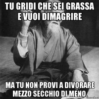 tu gridi che sei grassa e vuoi dimagrire ma tu non provi a divorare mezzo secchio di meno.