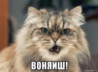  воняиш!