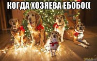 когда хозяева ебобо(( 