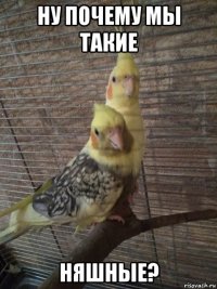 ну почему мы такие няшные?