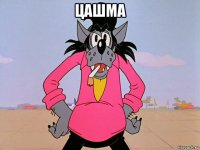 цашма 