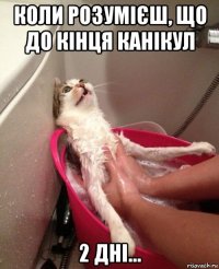 коли розумієш, що до кінця канікул 2 дні...
