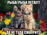 рыба! рыба летает! да не туда смотрите!