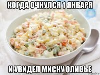 когда очнулся 1 января и увидел миску оливье