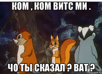 ком , ком витс ми . чо ты сказал ? ват ?