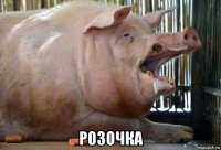  розочка