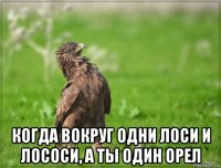  когда вокруг одни лоси и лососи, а ты один орел