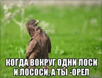  когда вокруг одни лоси и лососи, а ты -орел