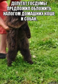 депутат госдумы предложил обложить налогом домашних коше и собак. 
