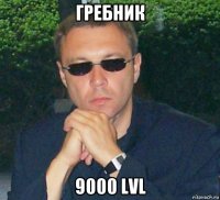 гребник 9000 lvl