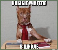 ноыые учителя в школе