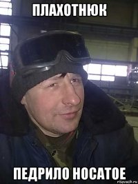 плахотнюк педрило носатое