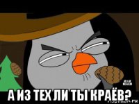  а из тех ли ты краёв?