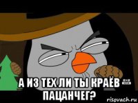  а из тех ли ты краёв пацанчег?
