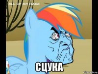 сцука